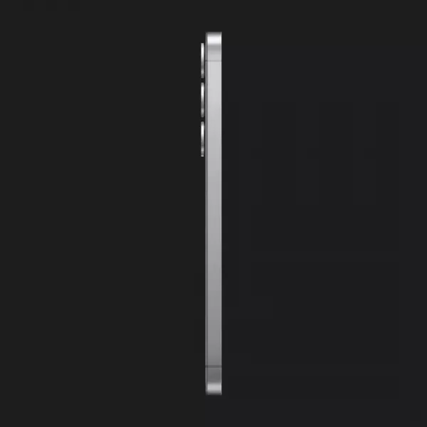 Samsung Galaxy S25+ 12/512GB (Silver Shadow) (S936) (Standard)