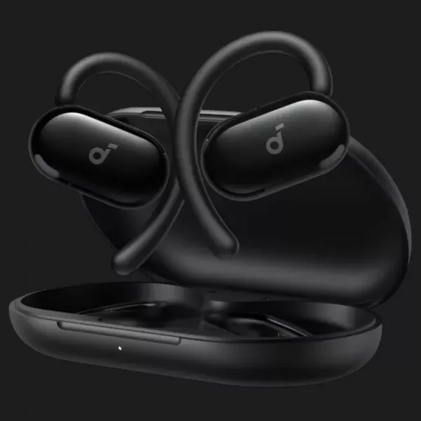 Навушники ANKER SoundСore V20i (Black)