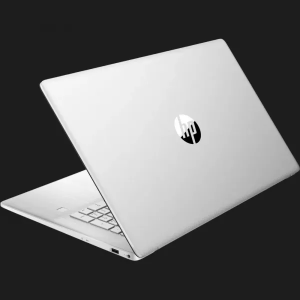 Ноутбук HP 17-cp0000 17,3" (AMD Ryzen 3/64GB/2TB (SSD)/AMD Radeon Graphics) (4Z2M26EA) (Standard)